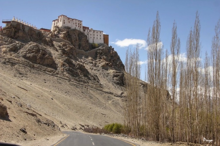 thiksey monastery 01