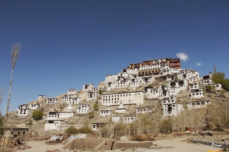 thiksey monastery 02