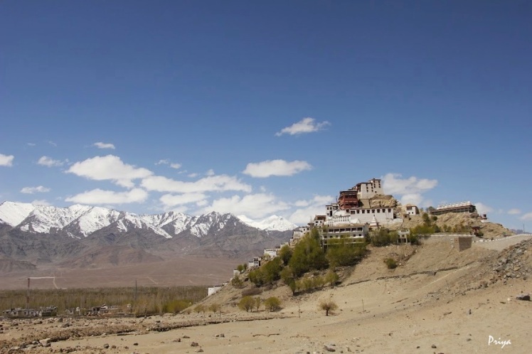 thiksey monastery 04