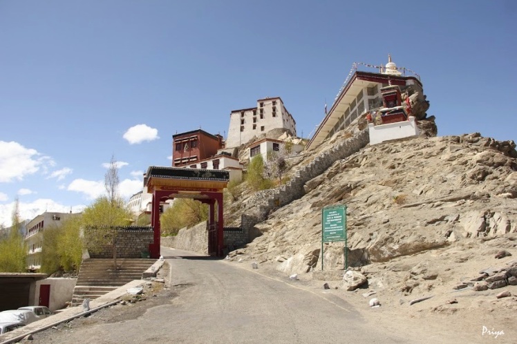 thiksey monastery 05
