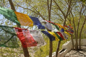 thiksey monastery 32